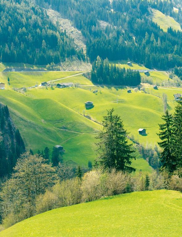 Willa Schoesserhof Zell am Ziller Zewnętrze zdjęcie